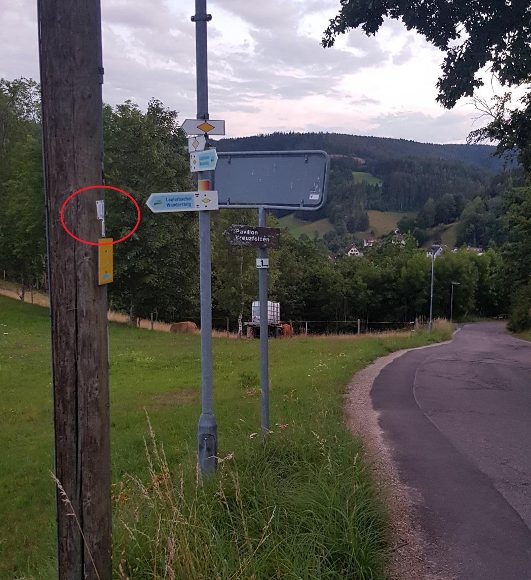 Hier fehlt noch das Bild